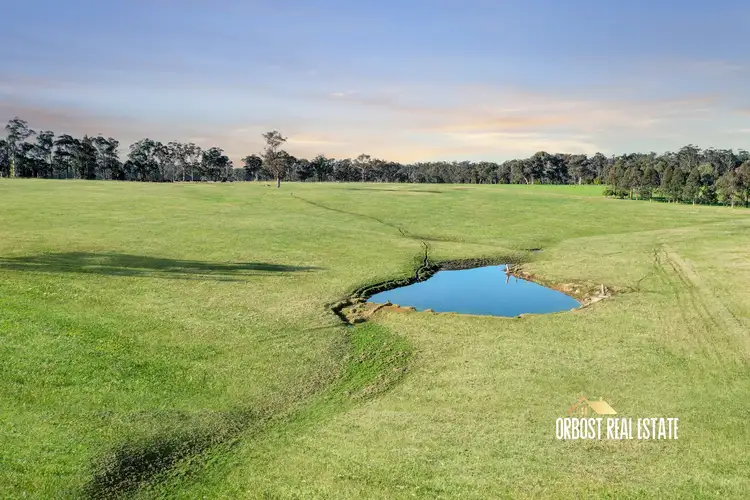 Third view of Homely rural property listing, 46 Murphys Lane, Orbost VIC 3888