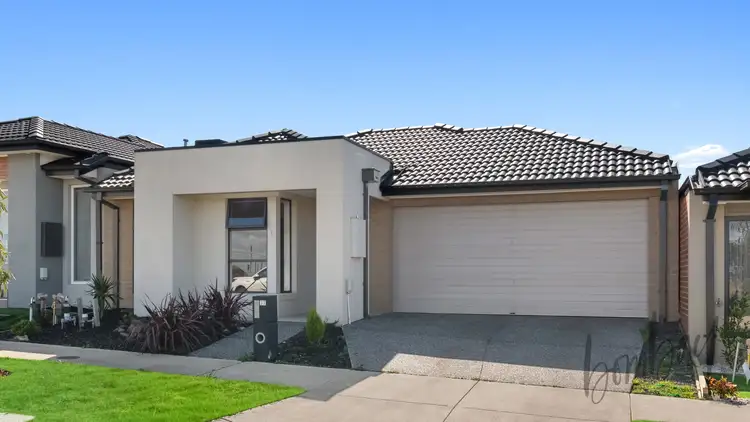 Second view of Homely house listing, 37 Satinwood Crescent, Donnybrook VIC 3064