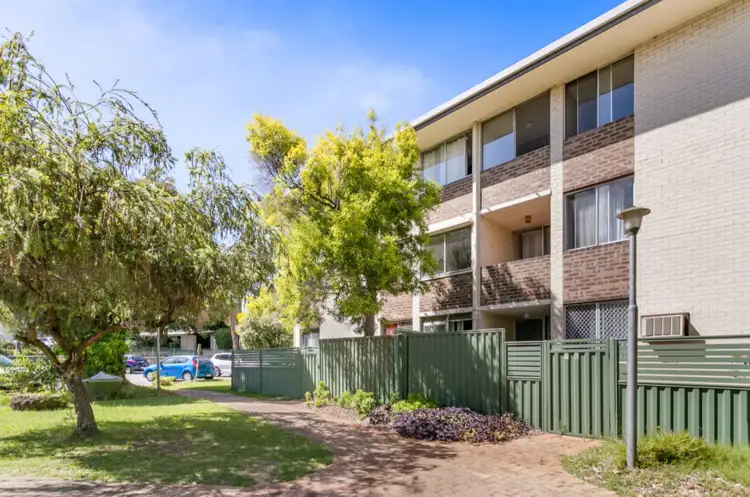 Main view of Homely unit listing, 209/81 King William Street, Bayswater WA 6053