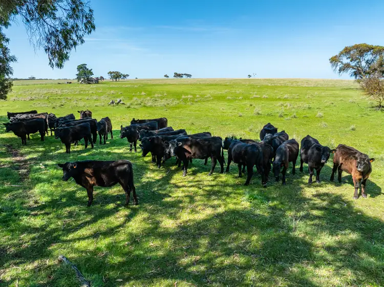Fifth view of Homely rural property listing, 377 Jagger Road, Waitpinga SA 5211
