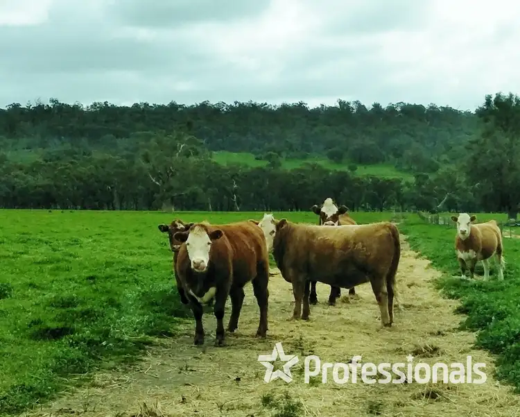 Second view of Homely rural property listing, Lot 6105 Corser Road, Wandering WA 6308