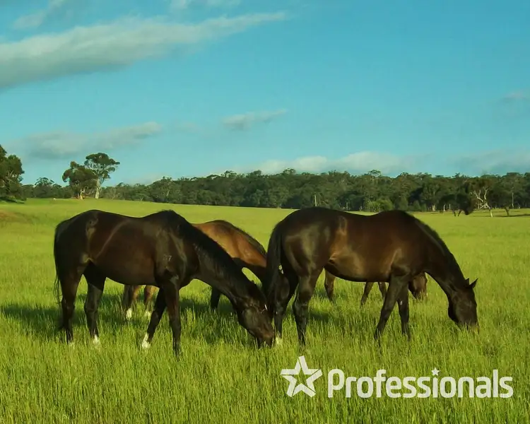 Third view of Homely rural property listing, Lot 6105 Corser Road, Wandering WA 6308