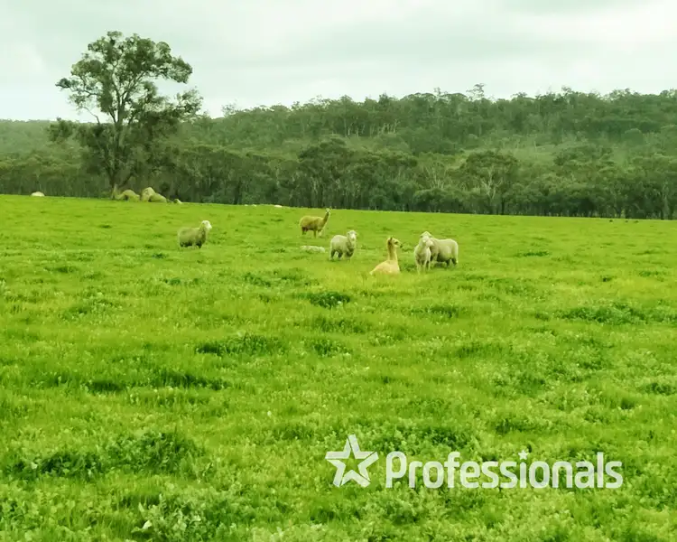 Fourth view of Homely rural property listing, Lot 6105 Corser Road, Wandering WA 6308