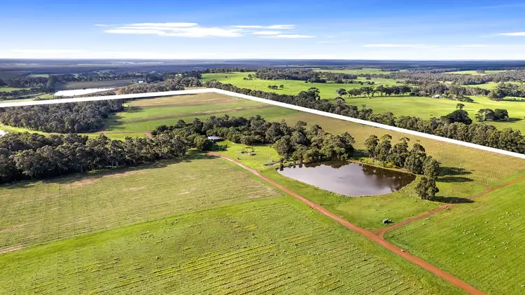 Seventh view of Homely rural property listing, 467 Twenty Four Road, Karridale WA 6288