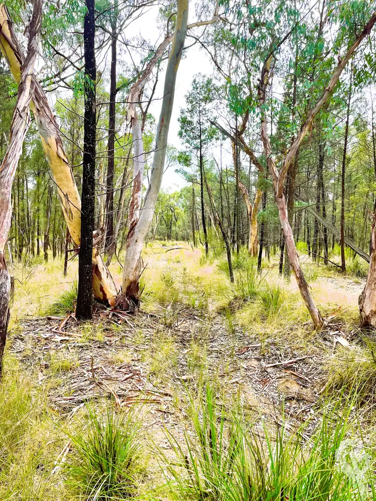 7/1037 Westport Road, Jacks Creek NSW 2390