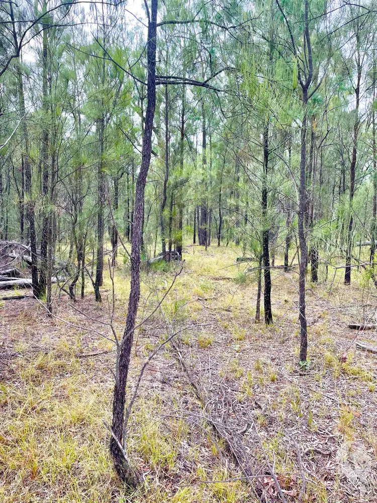 Fourth view of Homely rural property listing, 7/1037 Westport Road, Jacks Creek NSW 2390