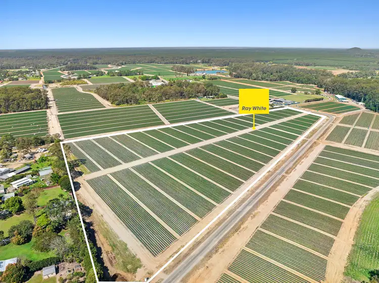 Main view of Homely land listing, LOT 25 Burys Road, Beerwah QLD 4519