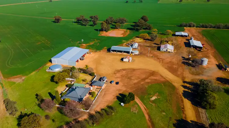 Second view of Homely rural property listing, 'Pineview', 1440 Coolamon Road, Mimosa NSW 2666