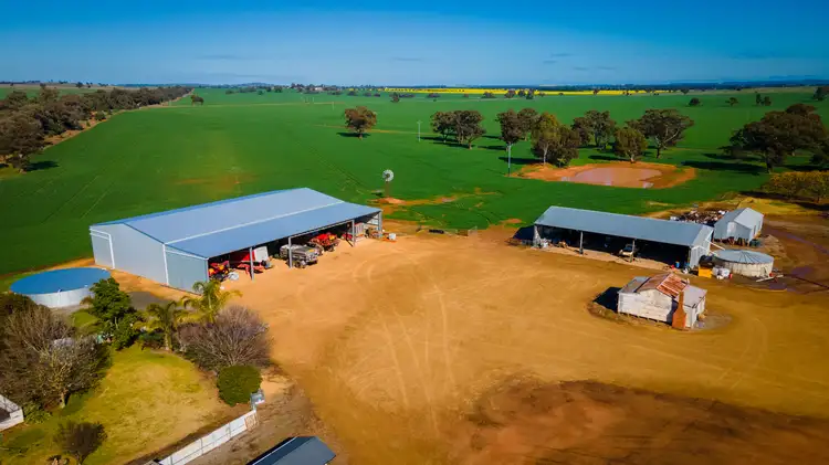 Third view of Homely rural property listing, 'Pineview', 1440 Coolamon Road, Mimosa NSW 2666