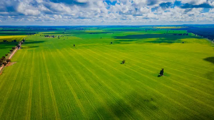 Sixth view of Homely rural property listing, 'Pineview', 1440 Coolamon Road, Mimosa NSW 2666