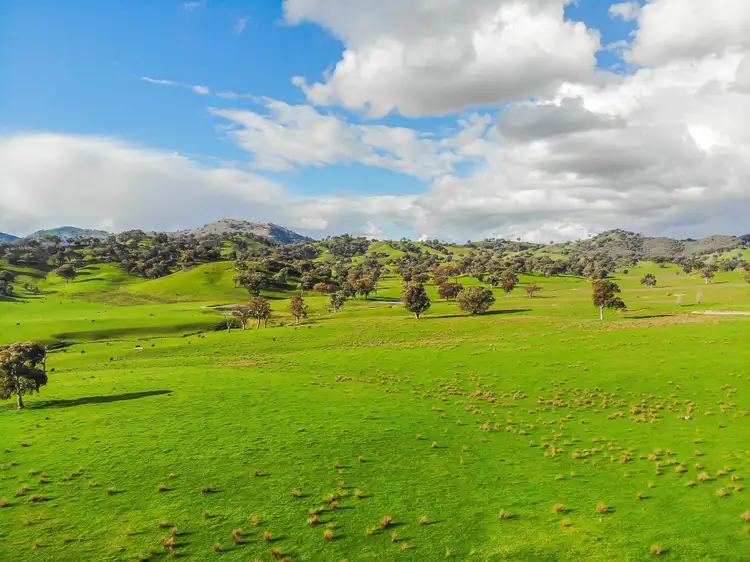 Fourth view of Homely rural property listing, 278 Brungle Road, Tumut NSW 2720