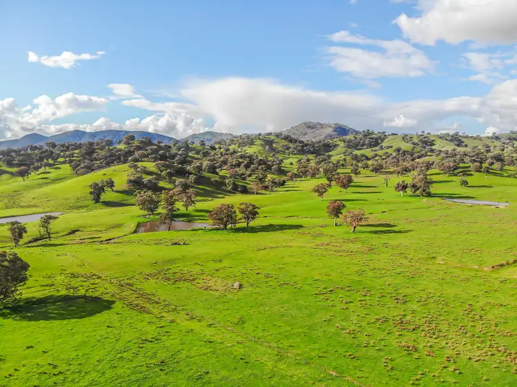 Fifth view of Homely rural property listing, 278 Brungle Road, Tumut NSW 2720