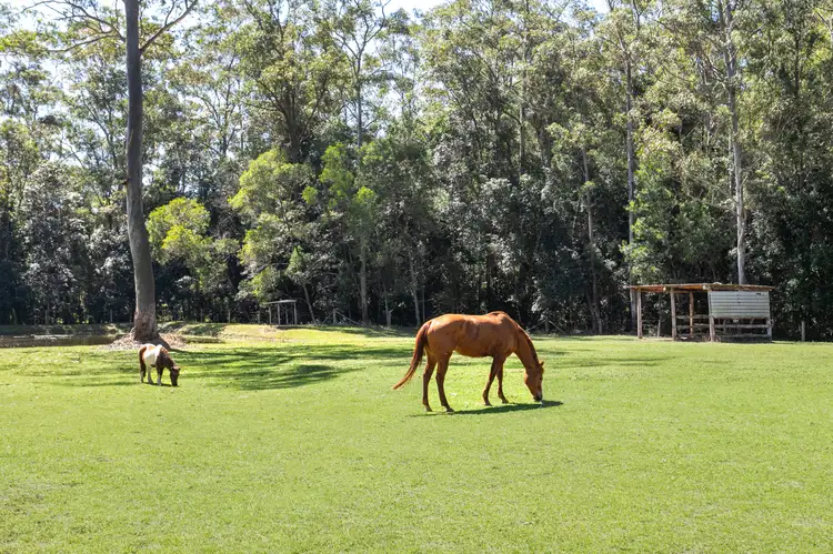 Fourth view of Homely house listing, 116 Timbara Road, Pomona QLD 4568
