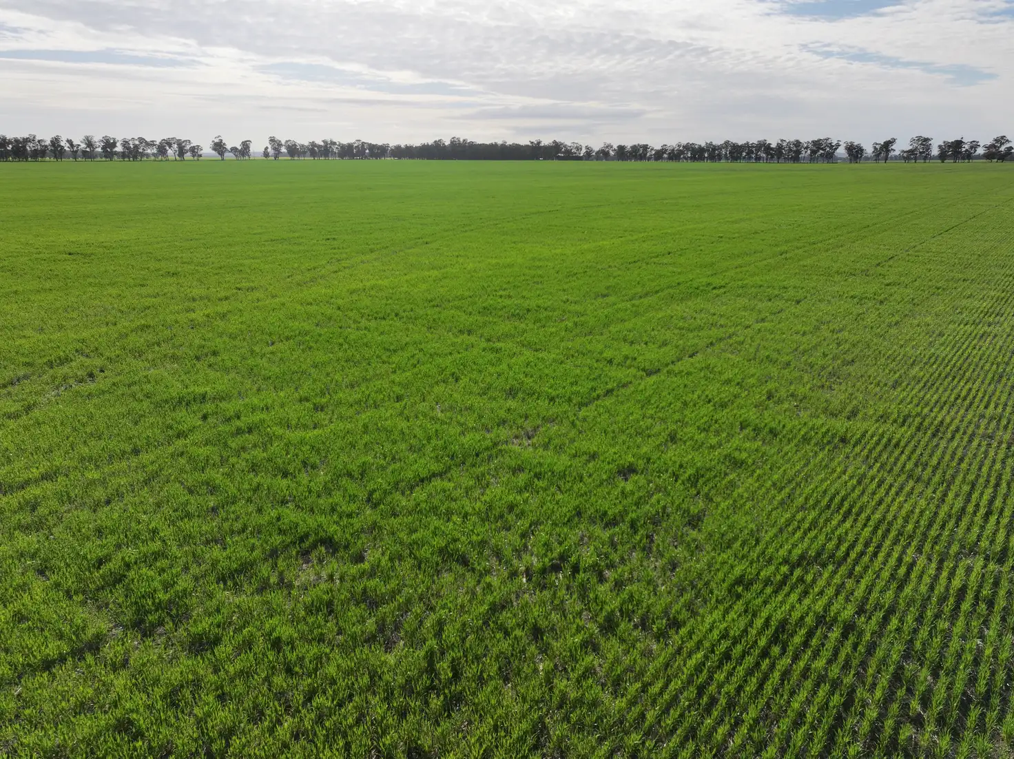 Main view of Homely rural property listing, Part 'Girraween' Schmidts Lane, Quandary NSW 2665