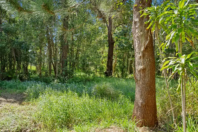 Fifth view of Homely land listing, 13 Mooloolah Street, Landsborough QLD 4550