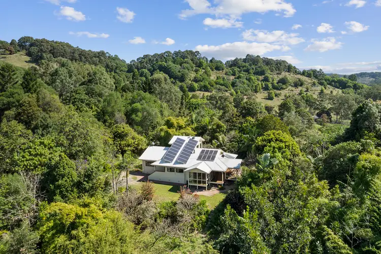 Second view of Homely rural property listing, 60 Bluegum Court, Crabbes Creek NSW 2483