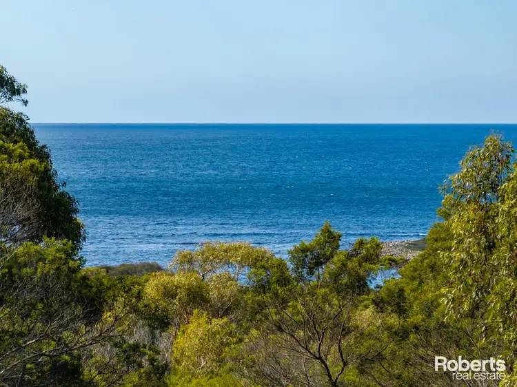 Main view of Homely land listing, LOT 101, 248 Harveys Farm Road, Bicheno TAS 7215