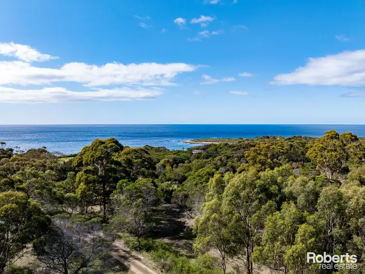 Second view of Homely land listing, LOT 101, 248 Harveys Farm Road, Bicheno TAS 7215