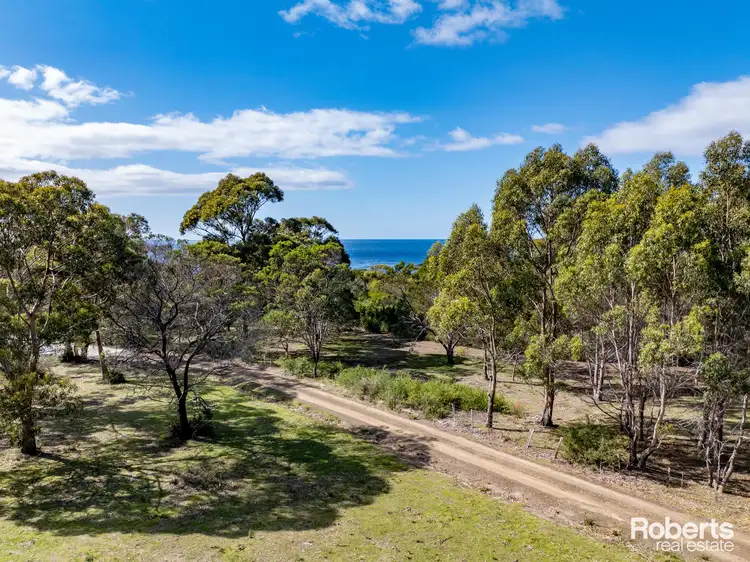 Third view of Homely land listing, LOT 101, 248 Harveys Farm Road, Bicheno TAS 7215