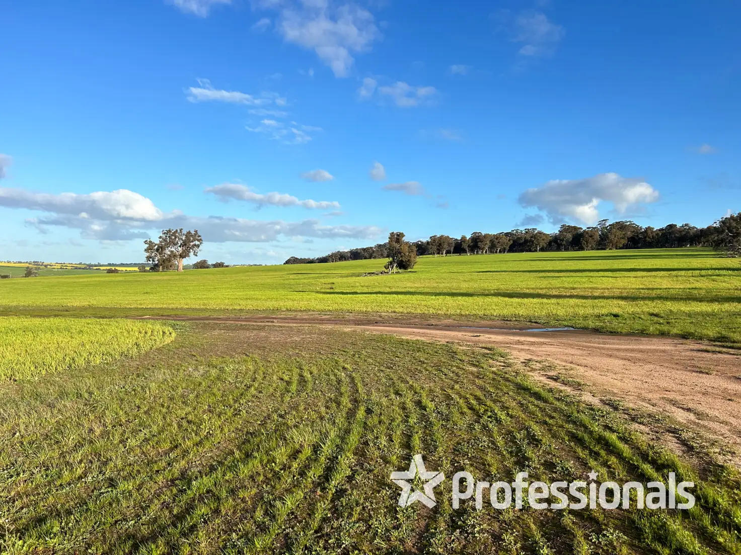 Main view of Homely rural property listing, Address available on request