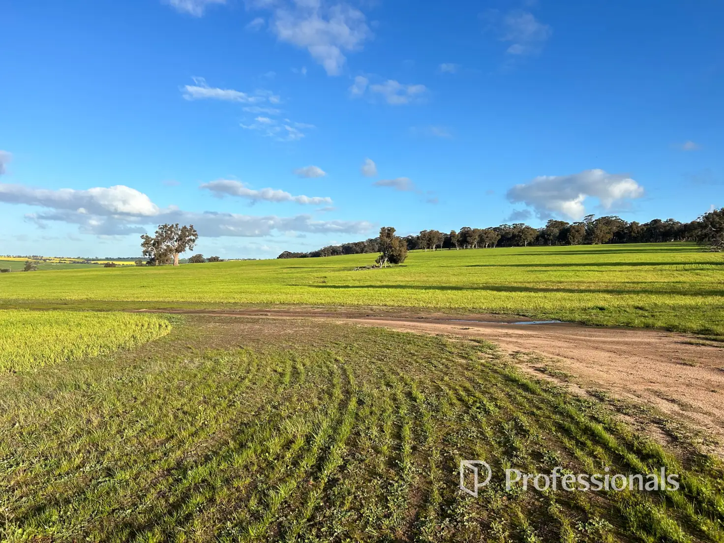 Main view of Homely rural property listing, Address available on request