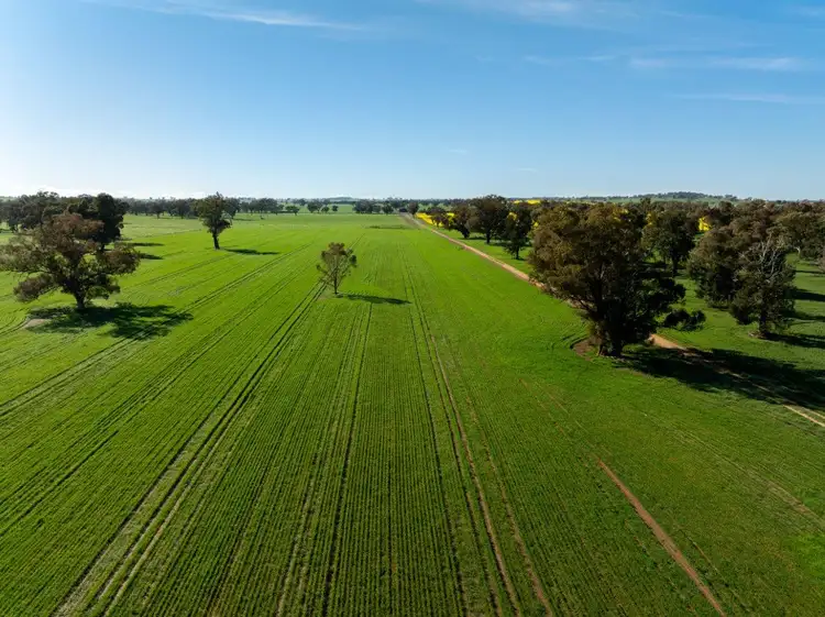 Second view of Homely rural property listing, 'Greenbank' 2 Mines Road, Young NSW 2594