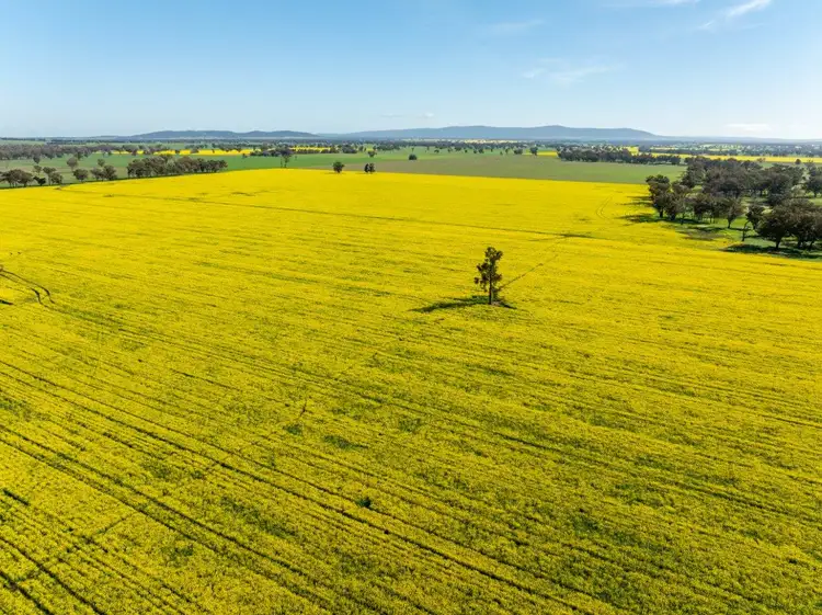 Third view of Homely rural property listing, 'Greenbank' 2 Mines Road, Young NSW 2594