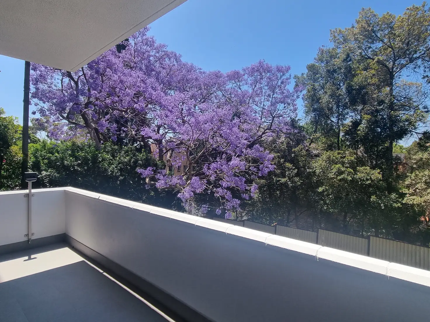Main view of Homely unit listing, 1/22 High Street, Carlton NSW 2218