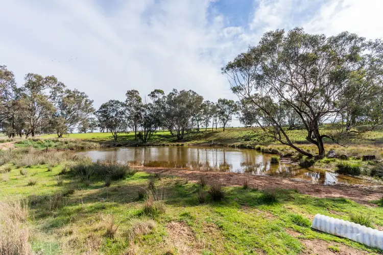 Second view of Homely rural property listing, 384 Yellowbox Road, Manildra NSW 2865