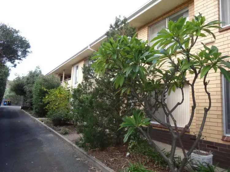 Main view of Homely unit listing, 5/4 Collyer Court, Linden Park SA 5065