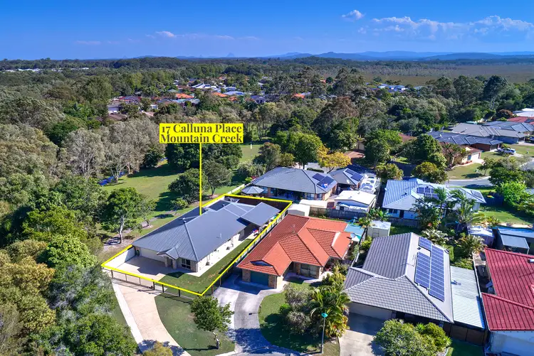 Main view of Homely house listing, 17 Calluna Place, Mountain Creek QLD 4557