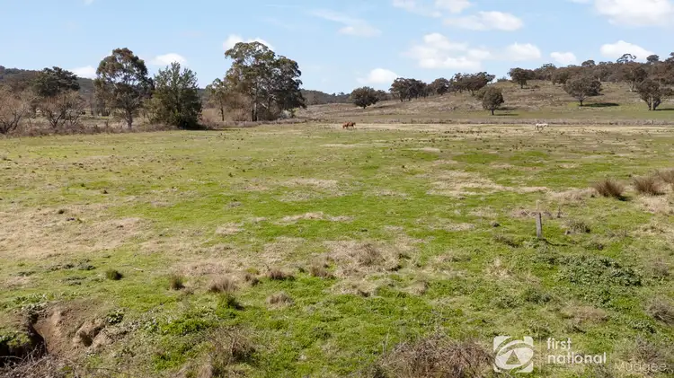 Sixth view of Homely rural property listing, 175 McMurrays Lane, Mudgee NSW 2850