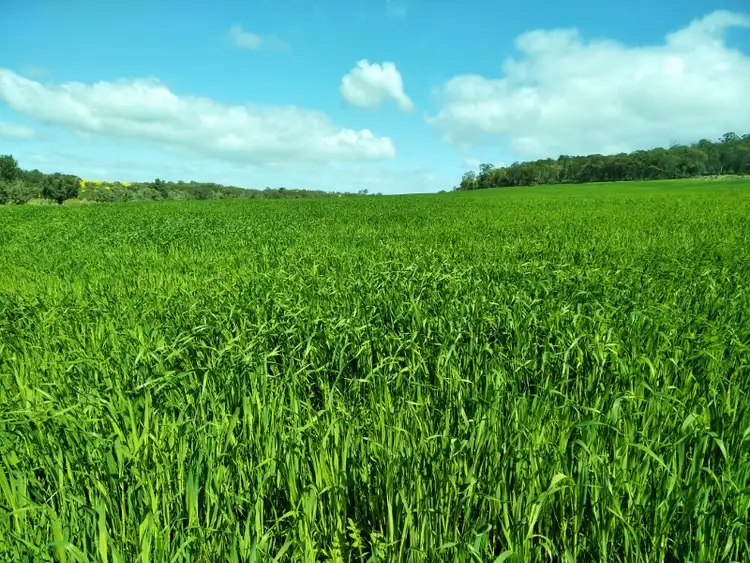 Third view of Homely rural property listing, Lot 7902 Corser Road, Wandering WA 6308