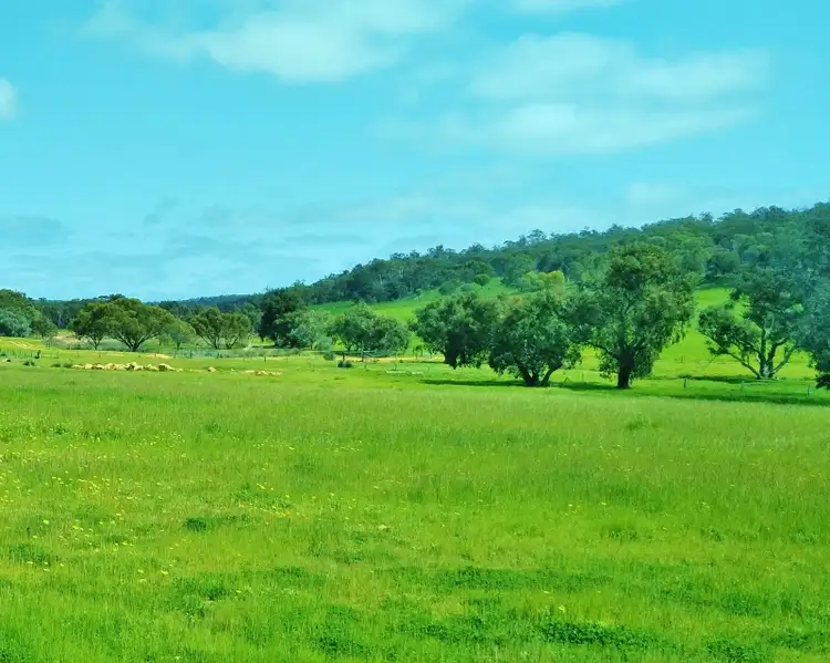 Sixth view of Homely rural property listing, Lot 7902 Corser Road, Wandering WA 6308
