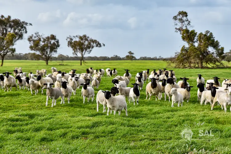 Third view of Homely rural property listing, 14370 Dukes Highway, Keith SA 5267
