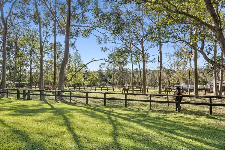 Main view of Homely rural property listing, 376 Birramal Road (376 Joalah Rd), Duffys Forest NSW 2084
