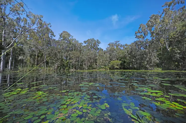 Second view of Homely land listing, 187 Rafting Ground Road, Agnes Water QLD 4677