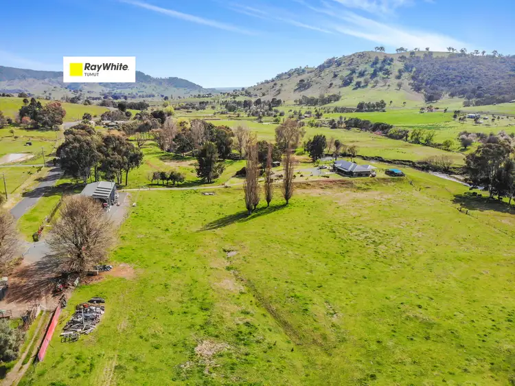 Main view of Homely house listing, 456 Grahamstown Road, Adelong NSW 2729
