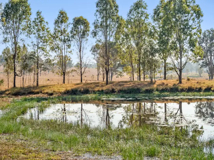 Sixth view of Homely land listing, 149-195 Mount Forbes Road & Lot 157 Unnamed Road, Mount Forbes QLD 4340
