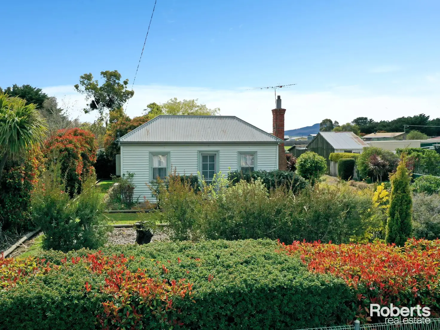 Main view of Homely house listing, 31 Patrick Street, Bothwell TAS 7030