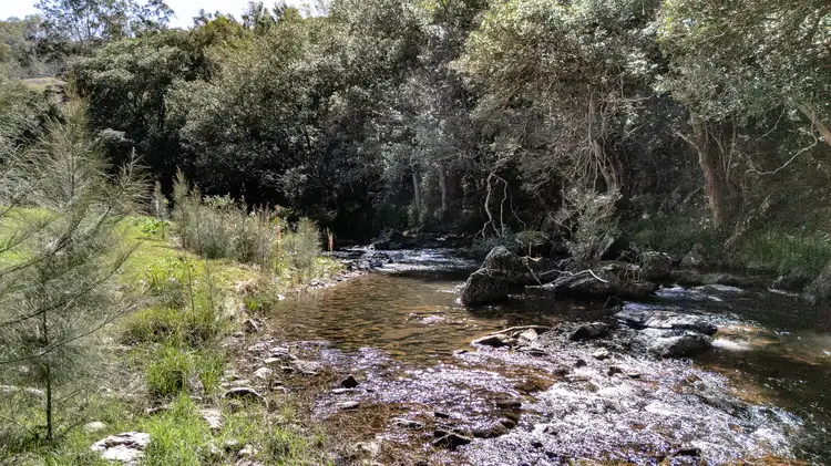 Third view of Homely rural property listing, 2469 Cells Road, Cells River NSW 2424
