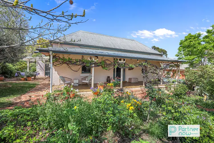 49 Roderick Street, Tamworth NSW 2340