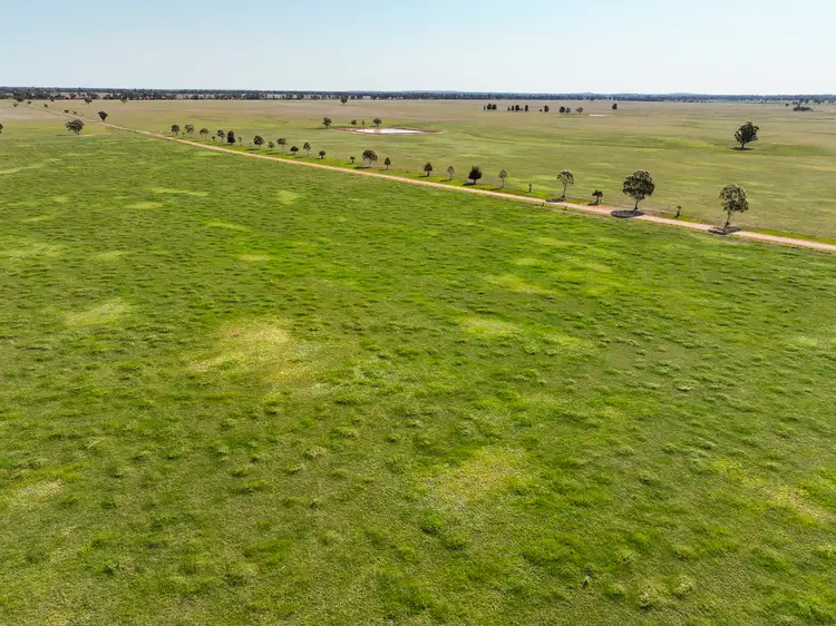 Fourth view of Homely rural property listing, Greendale Wyrra Lane, West Wyalong NSW 2671