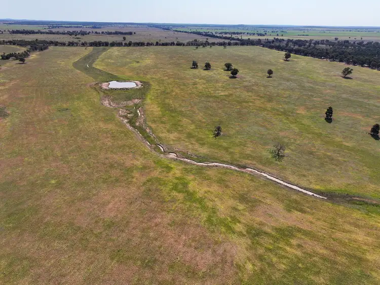 Seventh view of Homely rural property listing, Greendale Wyrra Lane, West Wyalong NSW 2671