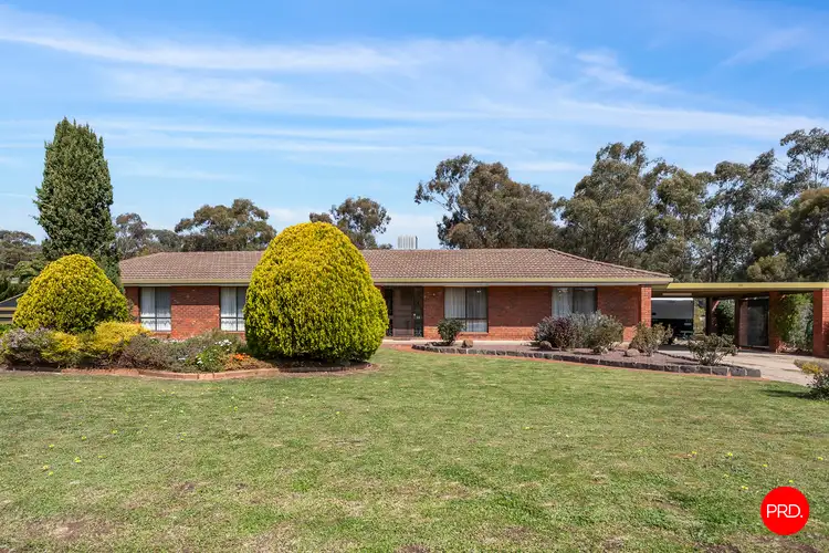 Fourth view of Homely house listing, 11 Forest Drive, Ascot VIC 3551