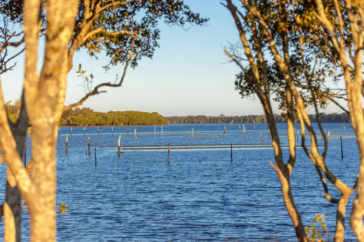 67 Pelican Bay Road, Mitchells Island NSW 2430