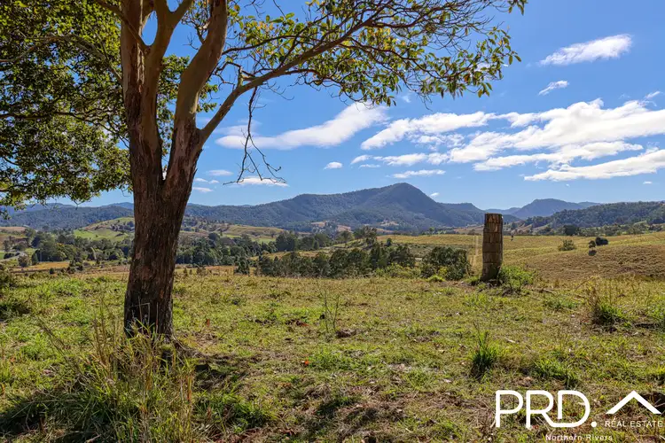 Main view of Homely rural property listing, Lot 30, 46 Lynches Creek Road, Wiangaree NSW 2474