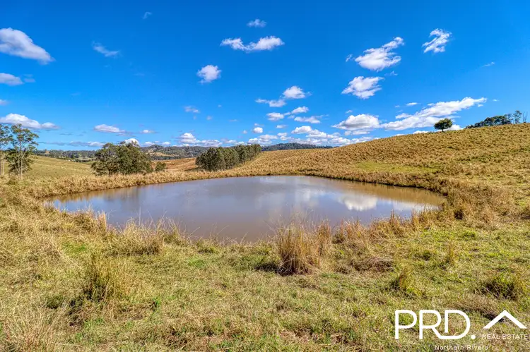 Fourth view of Homely rural property listing, Lot 30, 46 Lynches Creek Road, Wiangaree NSW 2474