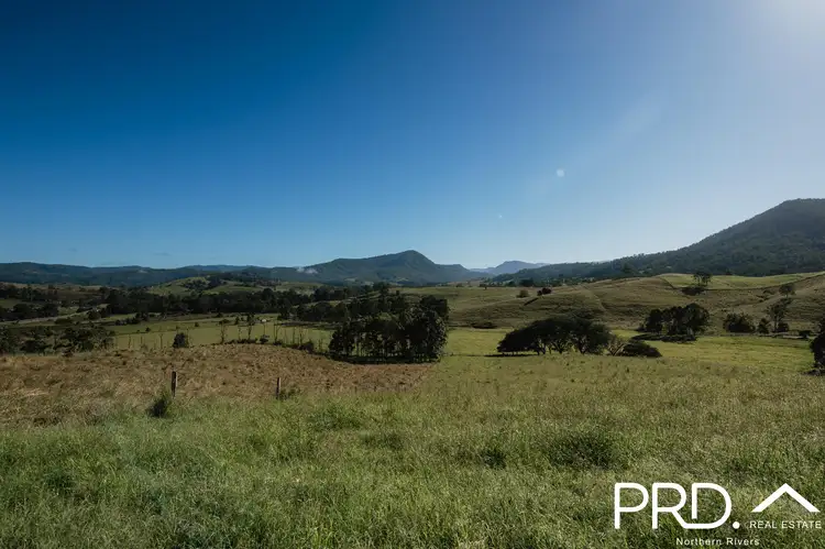Fifth view of Homely rural property listing, Lot 30, 46 Lynches Creek Road, Wiangaree NSW 2474
