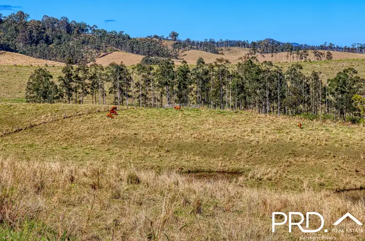 Sixth view of Homely rural property listing, Lot 30, 46 Lynches Creek Road, Wiangaree NSW 2474